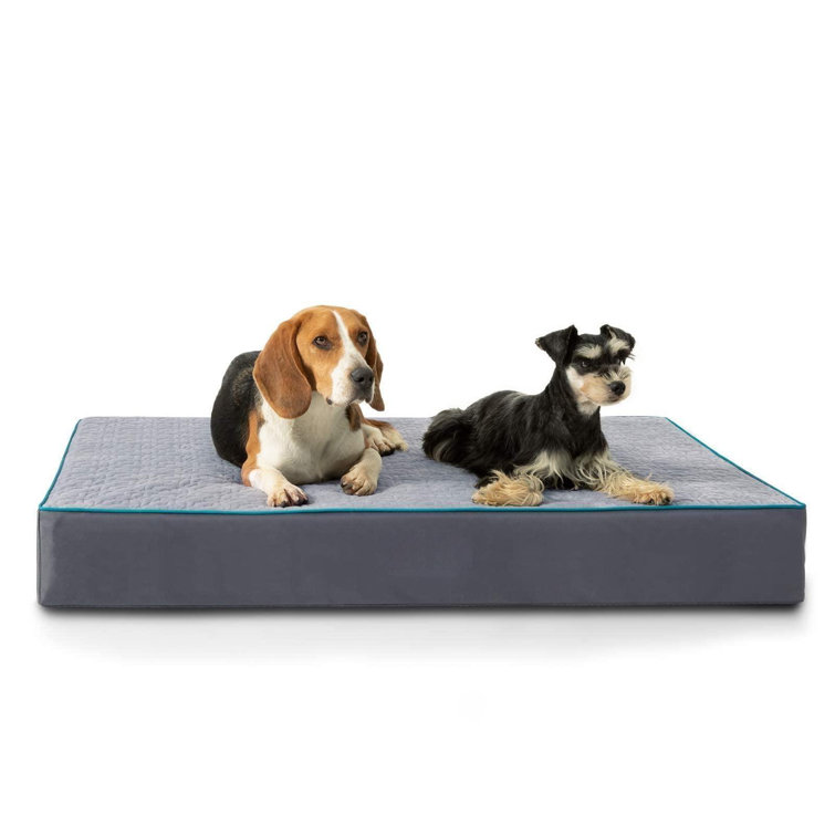 Dog memory foam outlet mattress